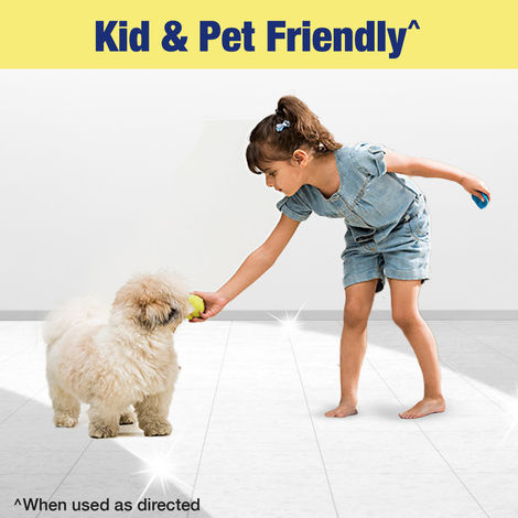 Lizol Citrus Floor Cleaner Liquid