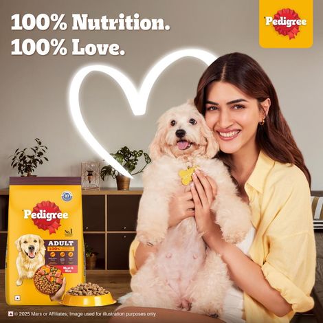 Pedigree Adult Meat & Rice Dry Dog Food