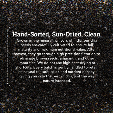 Anveshan Raw Chia Seeds Rich In Protein & Fiber