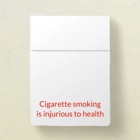 Marlboro Vista Forest Fusion Cigarettes