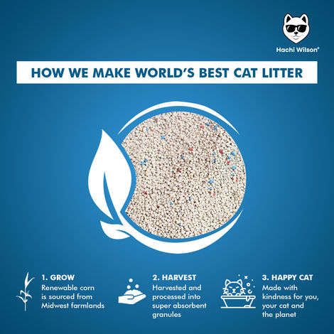 Hachi Wilson Premium Cat Litter Globally No1 Cat Litter