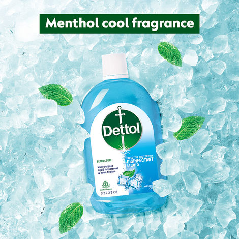 Dettol Menthol Cool Disinfectant Liquid Floor Cleaner