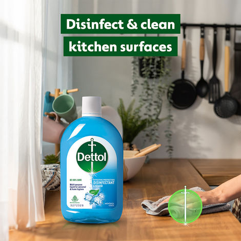 Dettol Menthol Cool Disinfectant Liquid Floor Cleaner