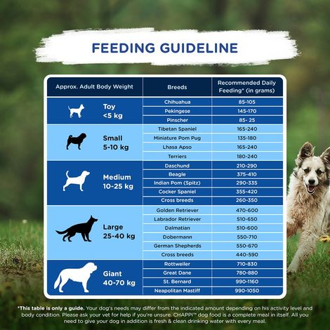 Chappi Adult Chicken & Rice Dry Dog Food