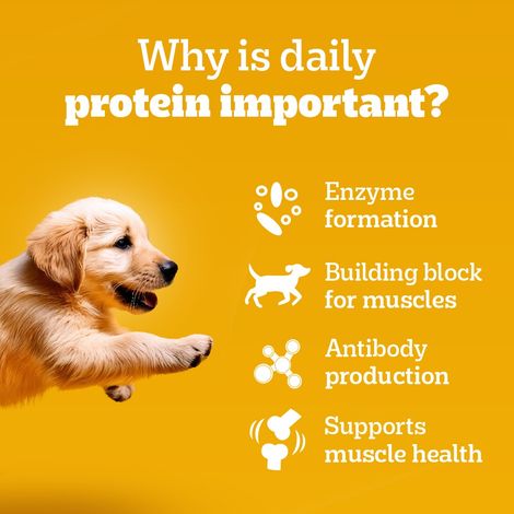 Pedigree Puppy Chicken & Liver Chunks In Gravy Wet Dog Food