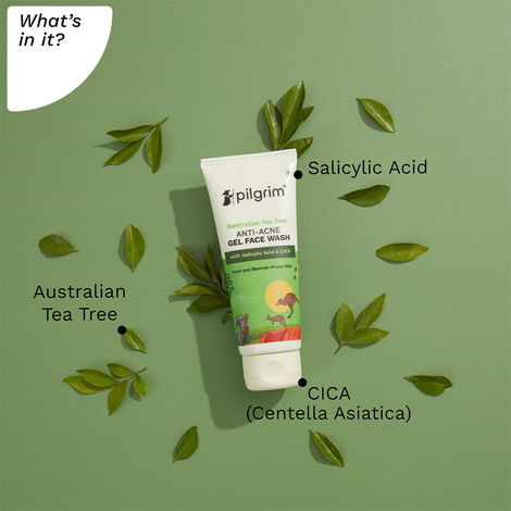 Pilgrim Tea Tree purifying Gel Face Wash with 1% Salicylic Acid for Oily Skin, Acne and Pimples