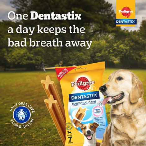 Pedigree Dentastix Adult Small Breed (5-10 Kg) Oral Care Dog Treat