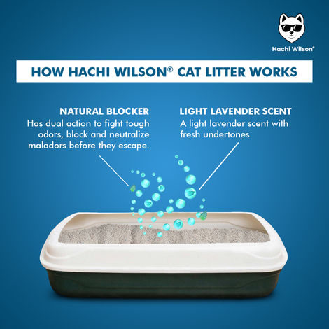 Hachi Wilson Premium Cat Litter Globally No1 Cat Litter
