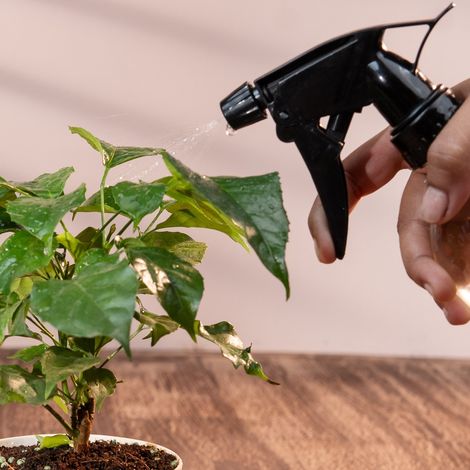 Nurturing Green - Natural Plant Immunity Booster | 250ml concentrate | Liquid Plant Booster