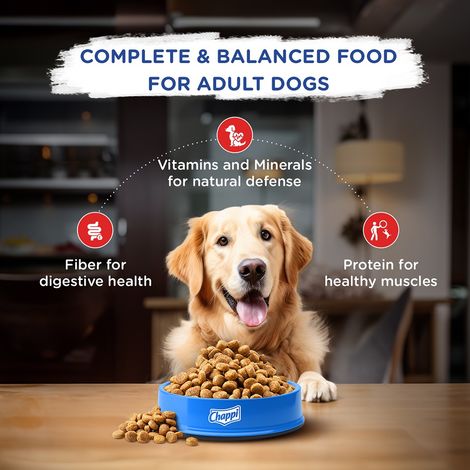 Chappi Adult Chicken & Rice Dry Dog Food