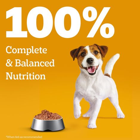 Pedigree Puppy Chicken & Liver Chunks In Gravy Wet Dog Food