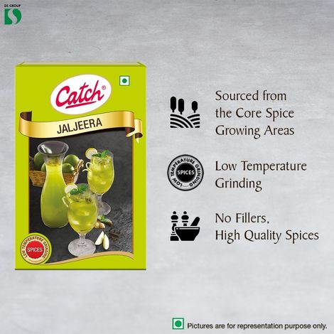 Catch Jaljeera Masala Powder