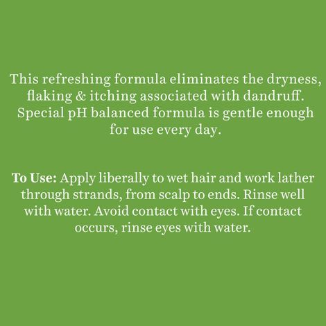 Biotique Fresh Neem Anti Dandruff Shampoo & Conditioner