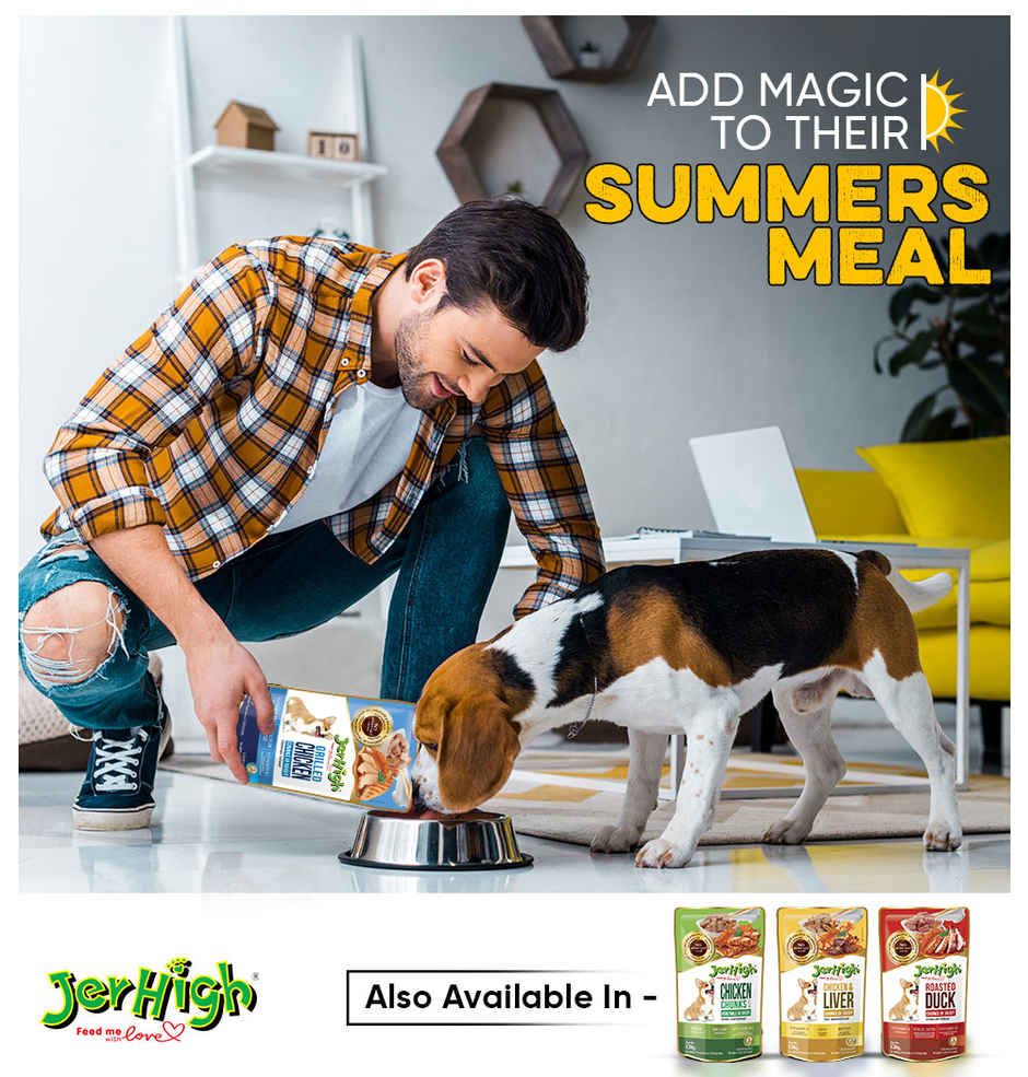 Jerhigh Grilled Chicken Chunks in Gravy|Dog Wet Food