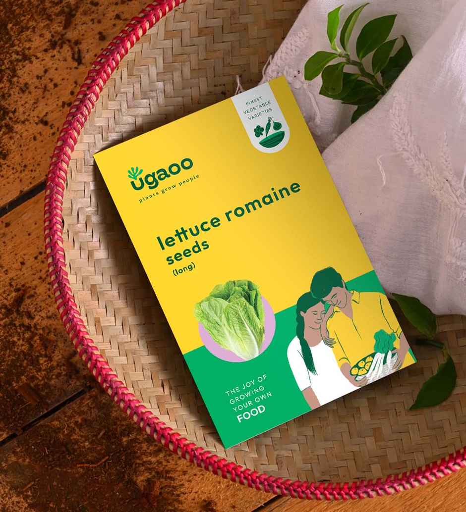 Ugaoo Lettuce Romaine Seeds (Long)