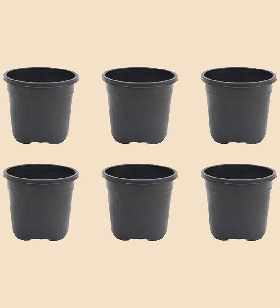Ugaoo Gardening Plastic Pots For Plants (6 Inch Black Color Set Of 6 ) Plant Container Set