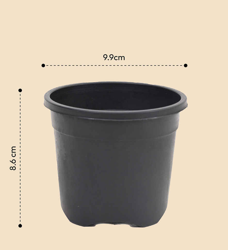 Ugaoo Garden Plastic Pots For Indoor Plants (8 Inch, Black Color Set Of 3) Plant Container Set
