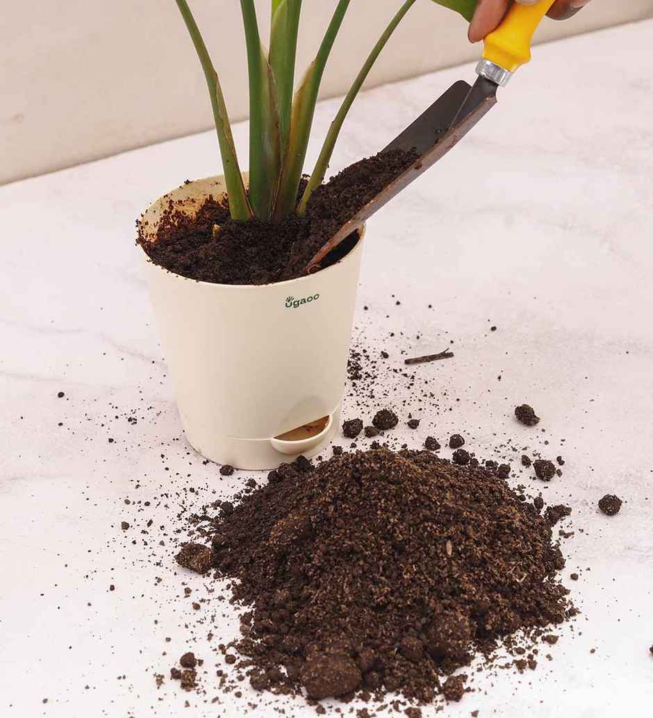 Ugaoo Cow Dung Manure Fertilizers For Plants & Home Gardening(1kg) & Ugaoo Vermicompost For Plants - Organic Fertilizer & Manure(1kg) Combo