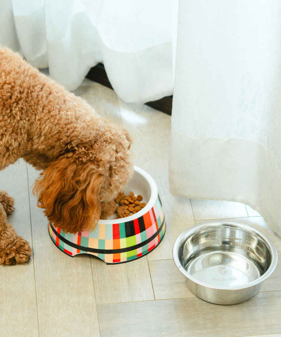 Pet Set Go 2-in-1 Melamine Dog Bowl | Abstract - Small