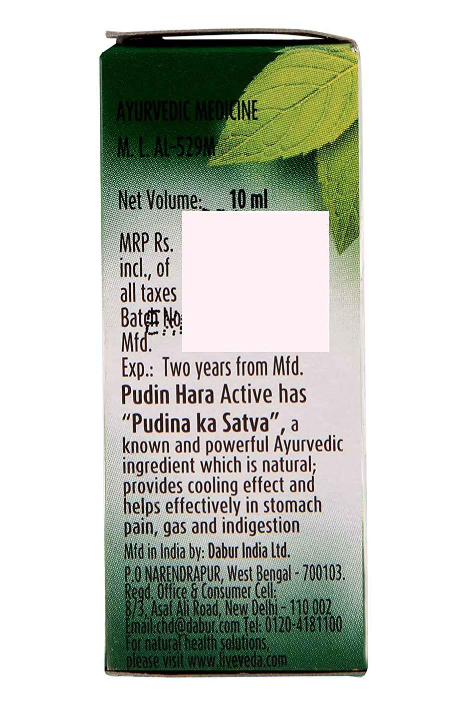 Dabur Pudin Hara Active