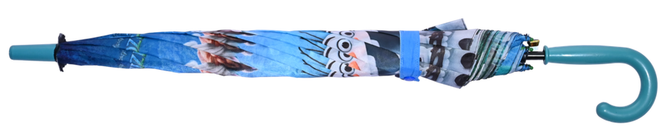 Citizen Kids School Umbrella | 2 Fold | 19 Inch | Disney Frozen Printed