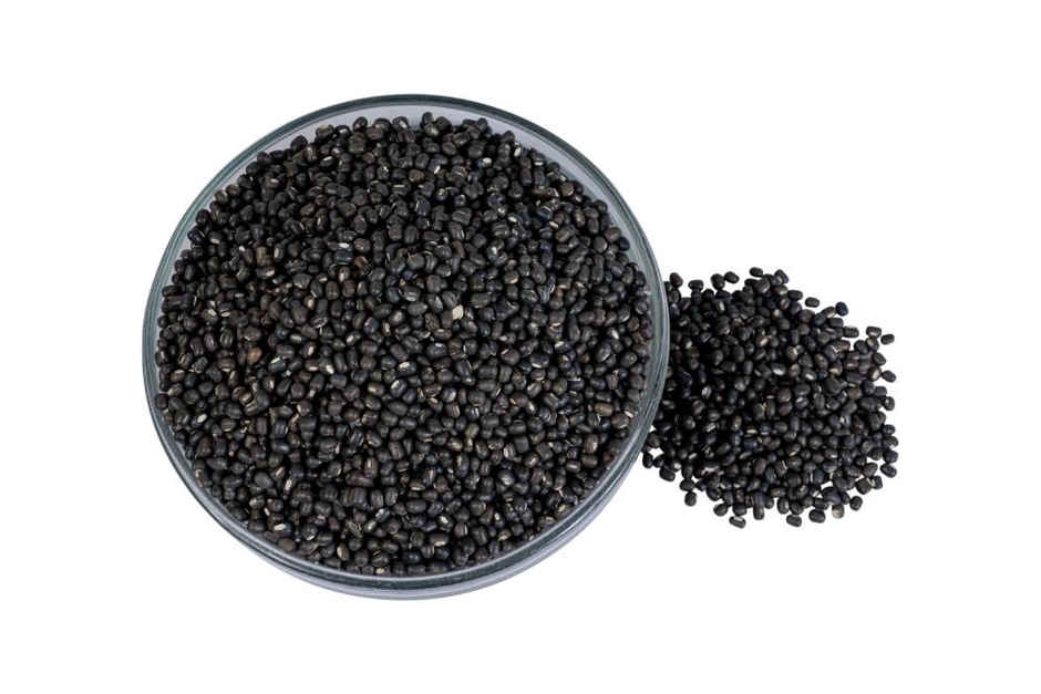 Khetika Urad Black Whole