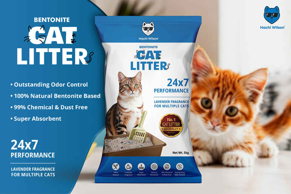 Hachi Wilson Premium Cat Litter Globally No1 Cat Litter