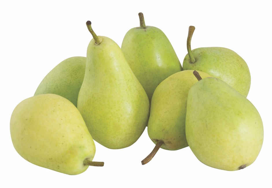 Coscia Pear