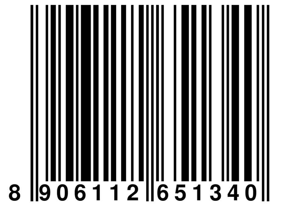 Citizen Kids School Umbrella | 2 Fold | 19 Inch | Disney Frozen Printed