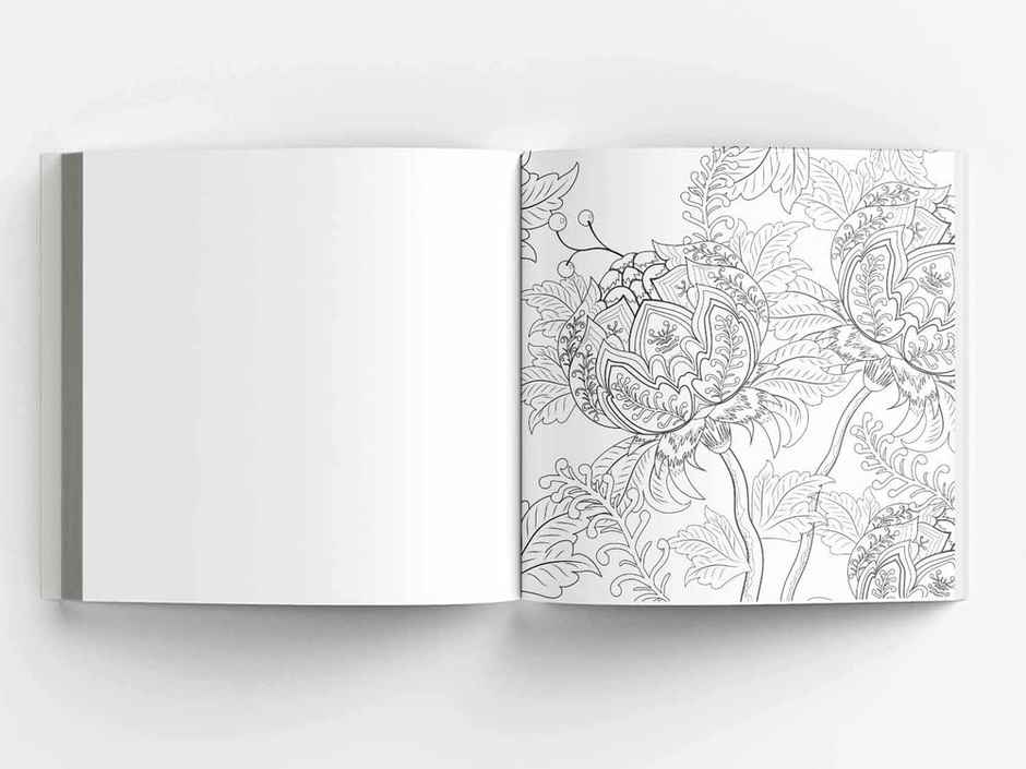 Nature, Garden And Forest: Colouring Books For Adults With Tear Out Sheets