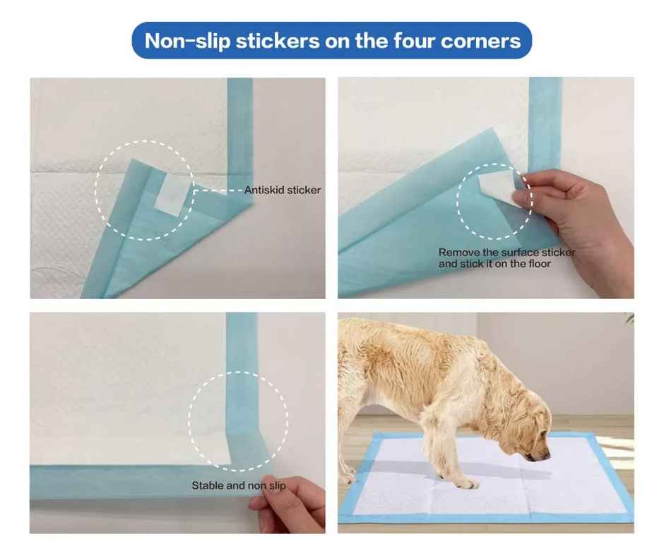 Patch & Marshall XL Basics Pee & Potty Pet Training Pad with Floor Sticking Tape