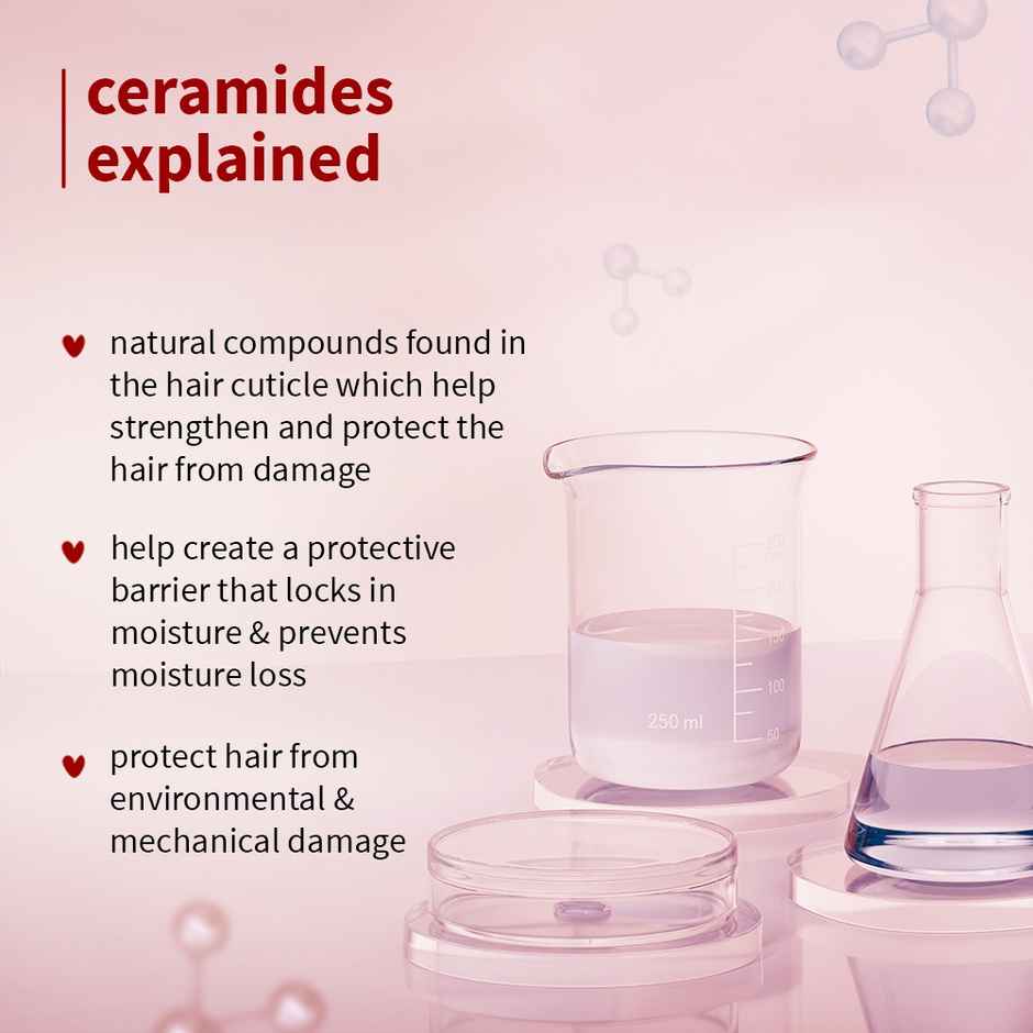 Plum Hibiscus & Ceramides Long & Healthy Shampoo