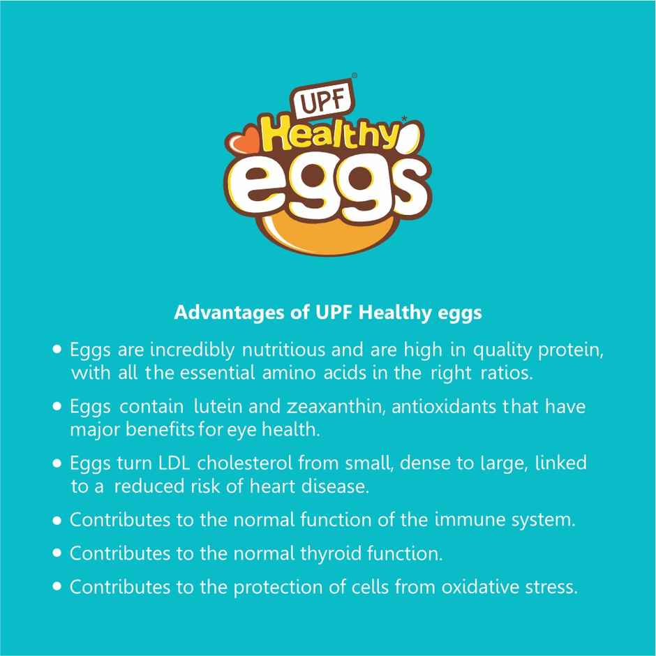 UPF Healthy White - Large Eggs, 6 Pieces | Protein Rich | Veg Feed | Infertile