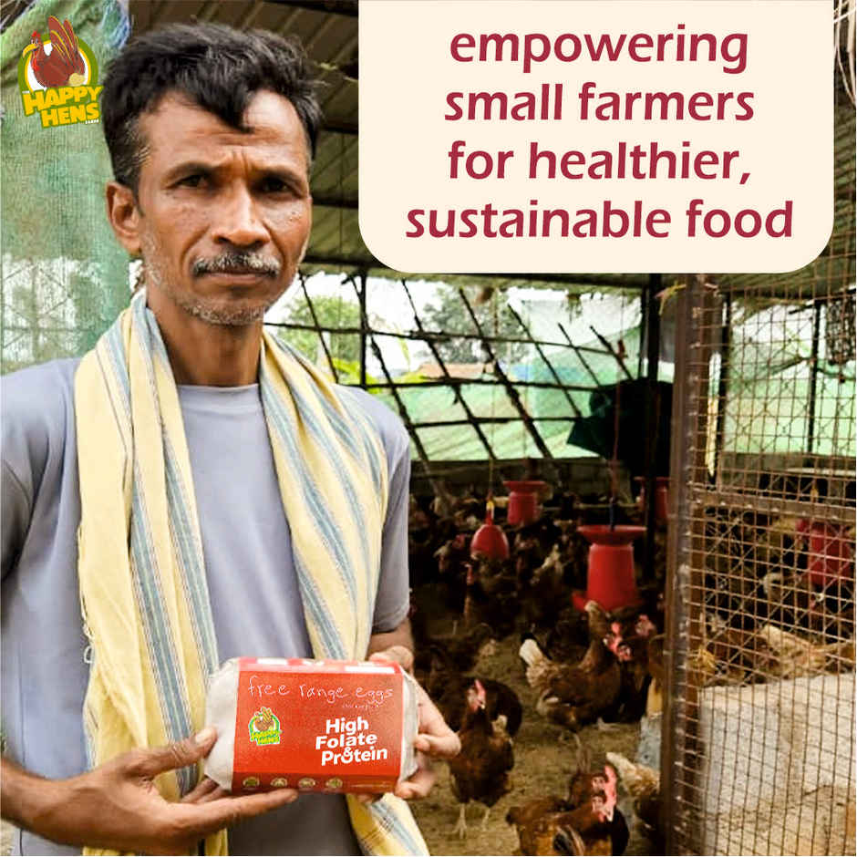 Happy Hens Free Range Brown Eggs Folate Vit B9