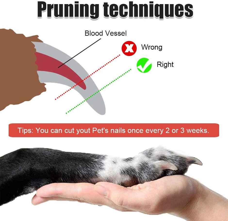 Nail Cutter W/Filer For Pets