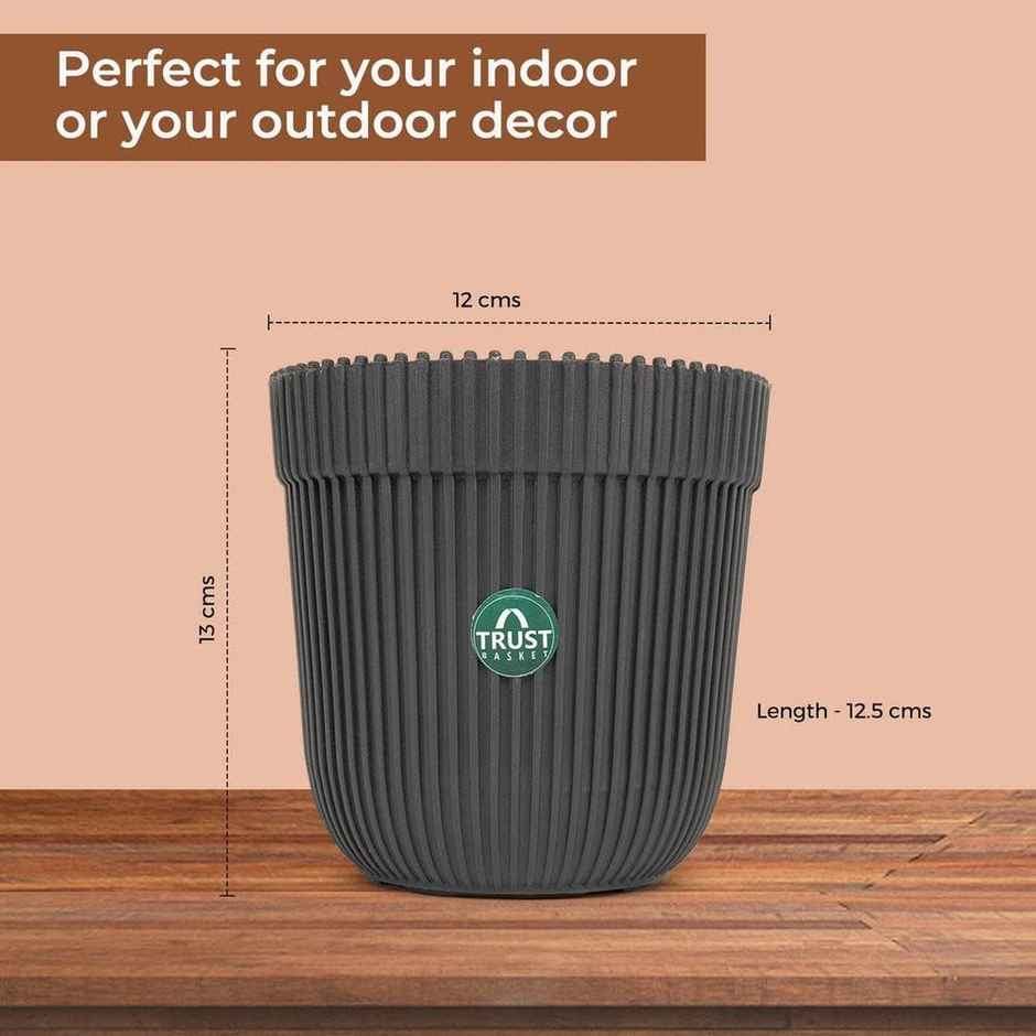 Cylindrical Plastic Plant Pot | 12.5 x 12 x 13 cm | Multicolour