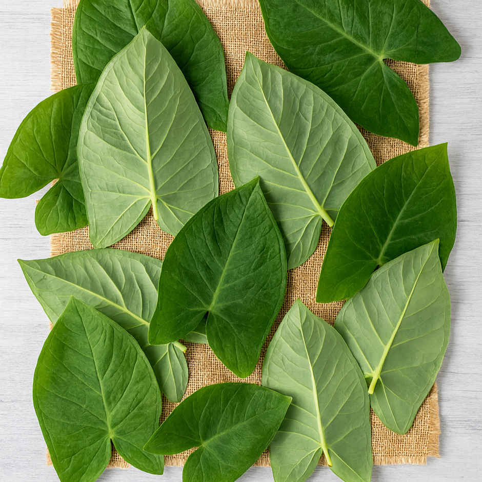 Colocasia Leaves (Arvi Patta)