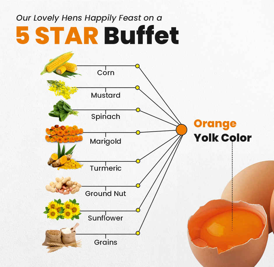 Eggs by Henfruit - 10 High Protein Power Brown Eggs