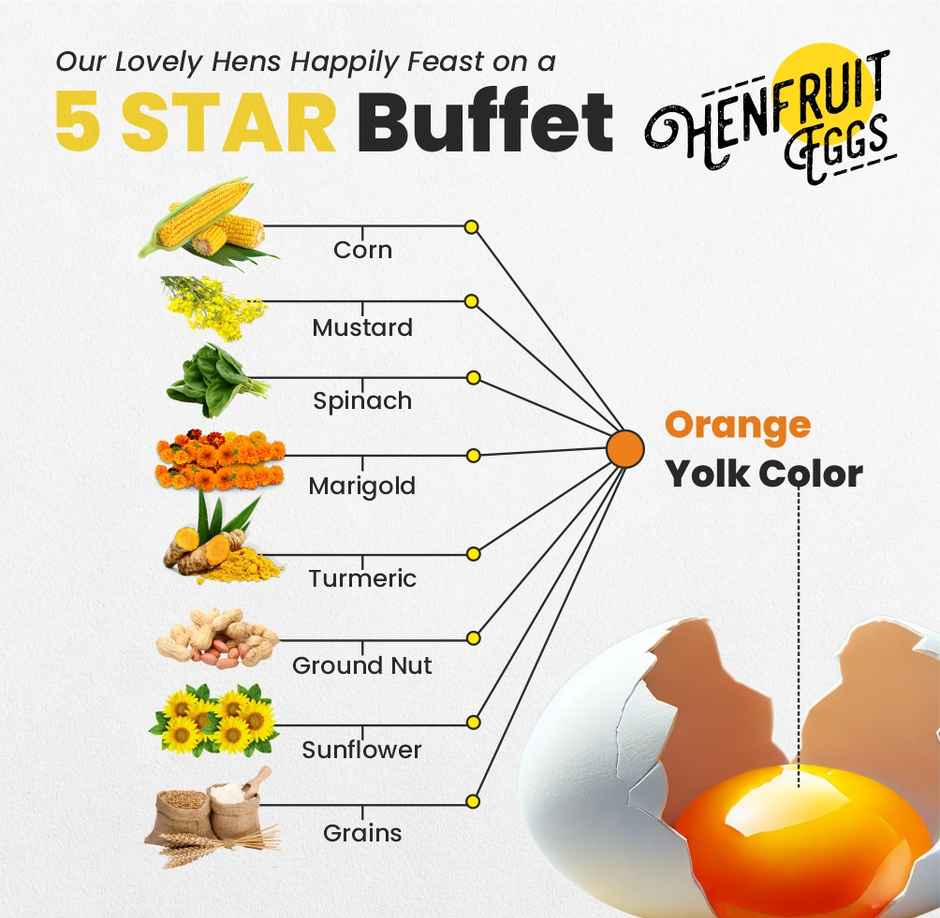 Eggs by Henfruit - Max Protein Specialty Eggs