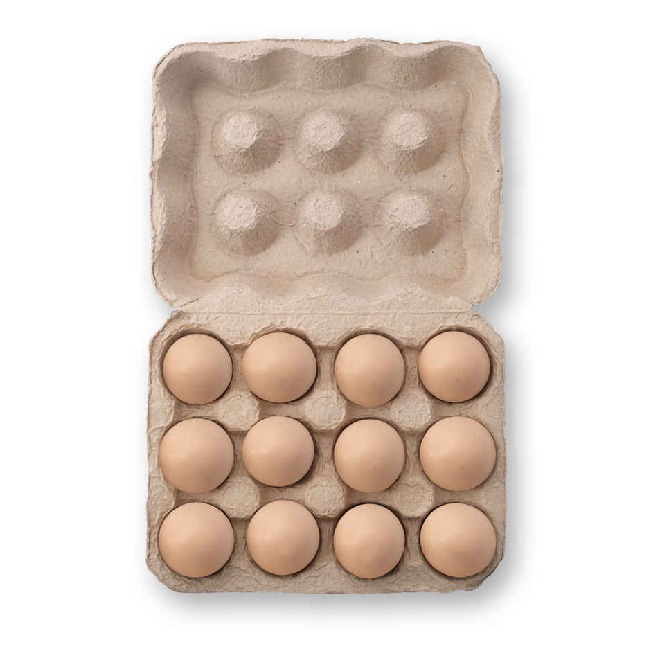 Nila Brown Eggs