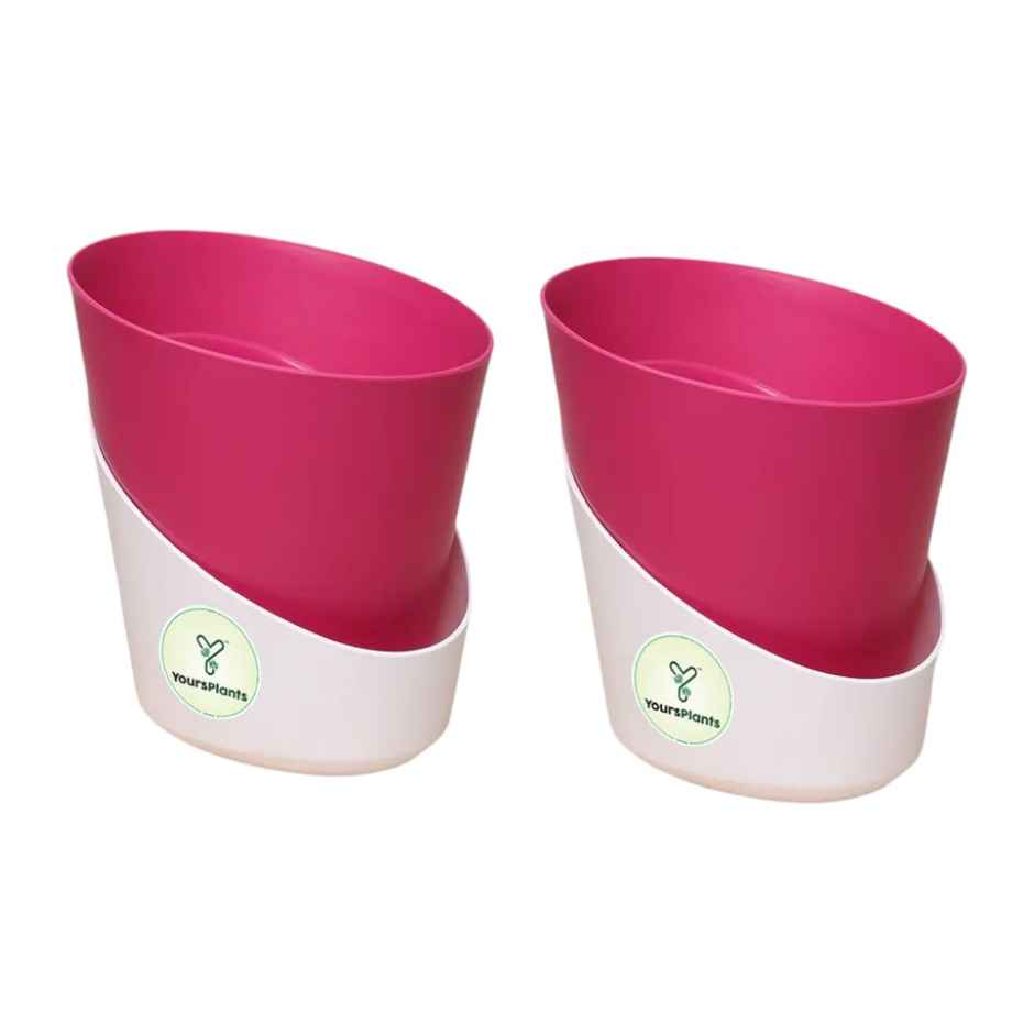 Yoursplants Atlantis - 4 Inch Pink Pot | Pack Of 2