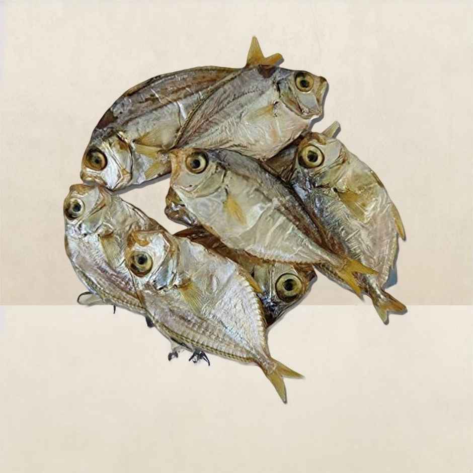 H.S Dry Para Fish (Small)