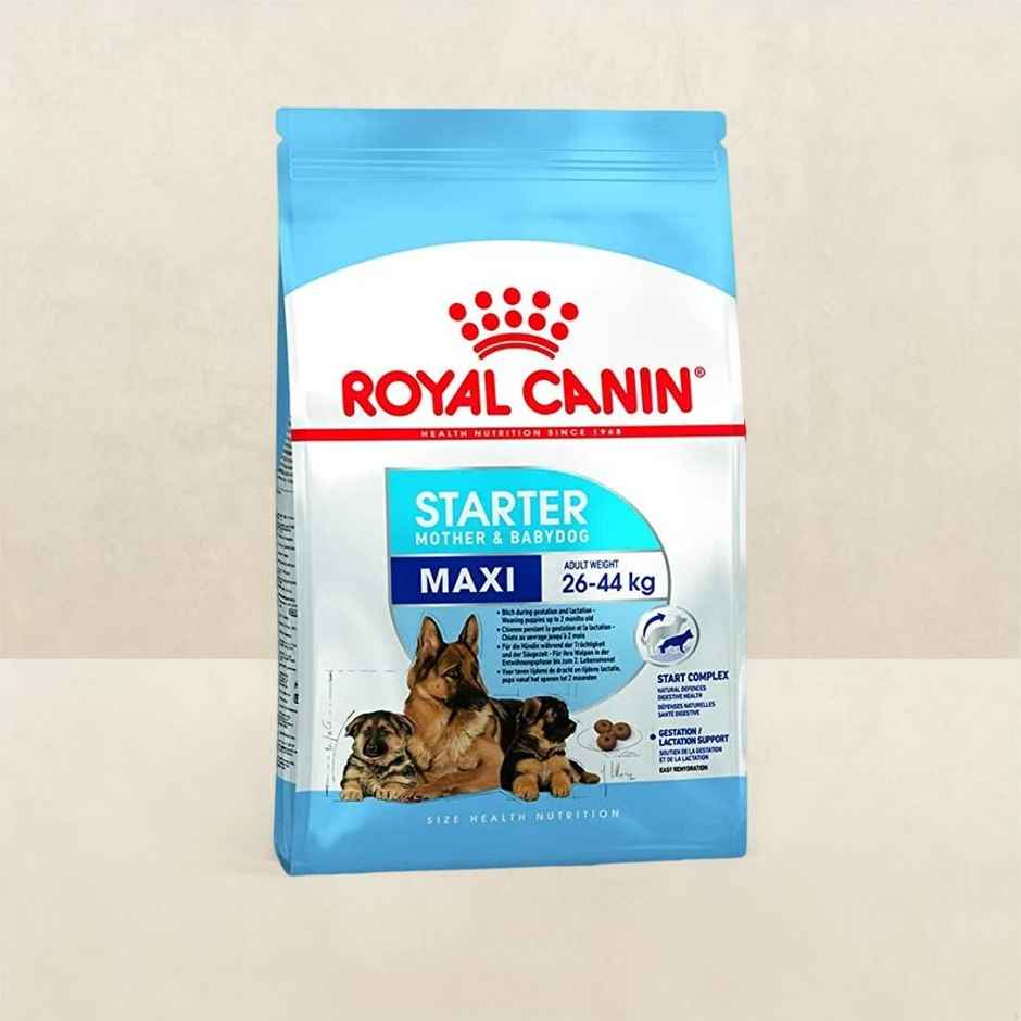 Royal Canin Maxi Starter