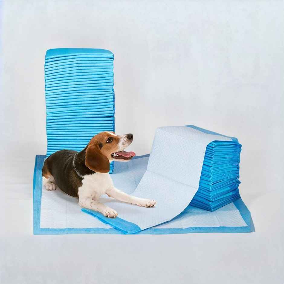 Nootie Training Pads(60X90)10Pcs