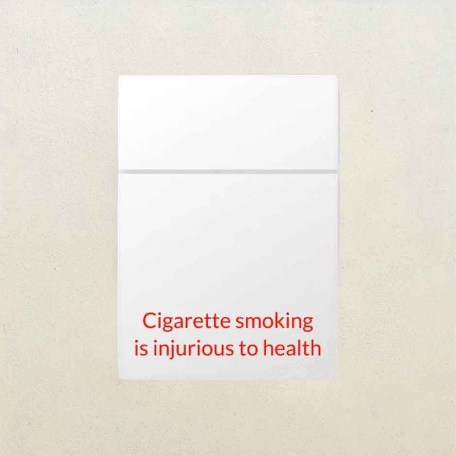 Classic Balanced Taste Cigarette (Classic Mild) Combo