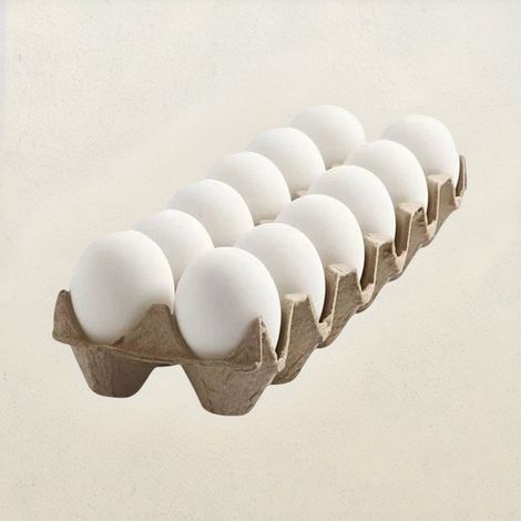 Vijay White Eggs