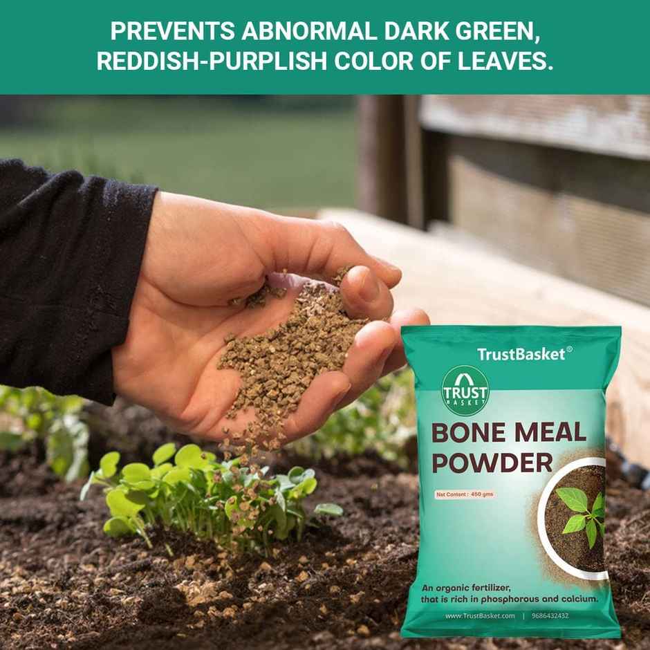 TrustBasket Bone Meal Fertilizer for Plants 450 Grams (Set of 1)