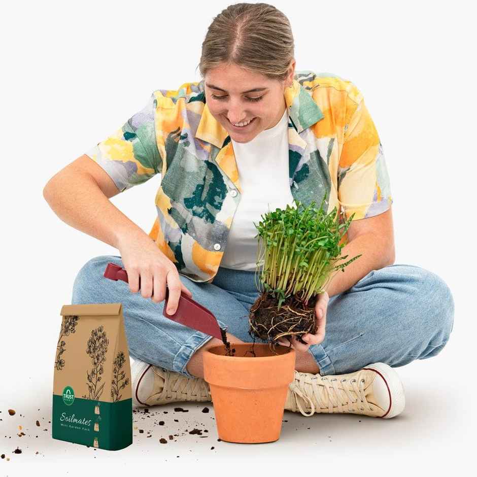TrustBasket Soilmates Garden Kit | Microgreens Starter Kit for Indoor Growing