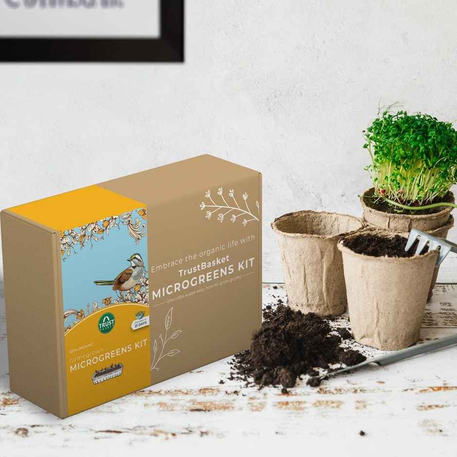 TrustBasket Homegrown Microgreens Kit | DIY Indoor Garden Kit for Beginners