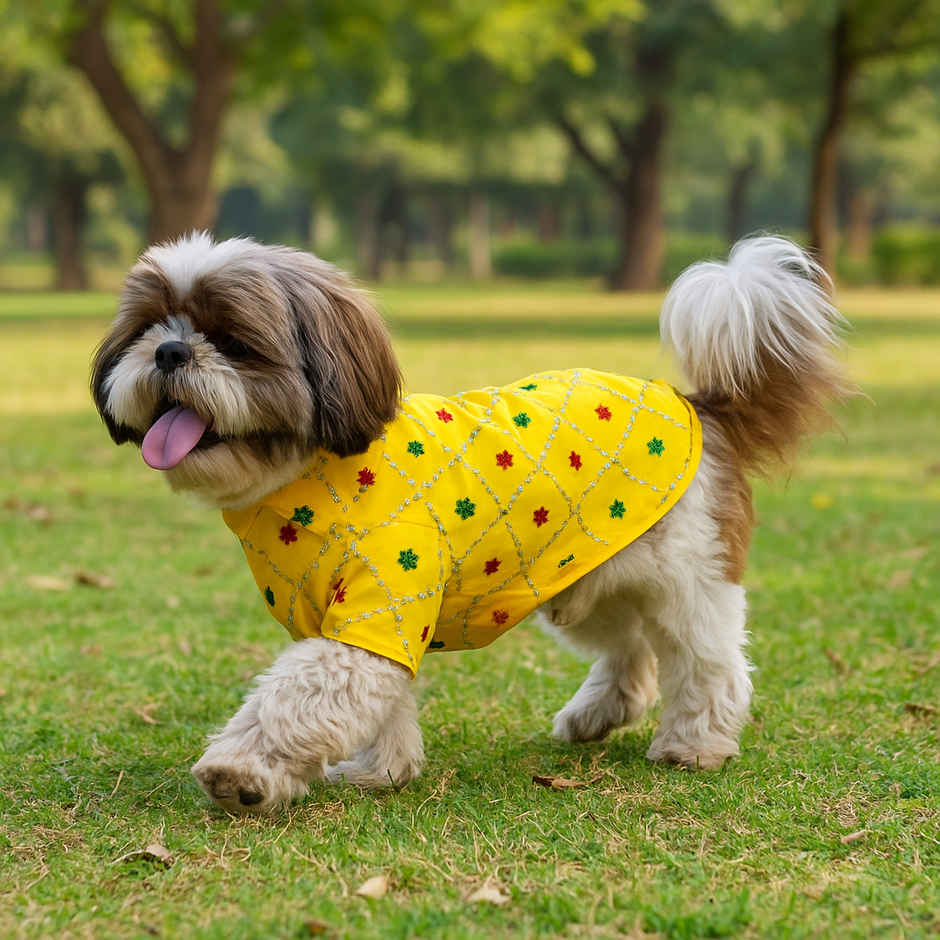 Pawgy Pets Festive Shirt Yellow For Dogs And Cats | S